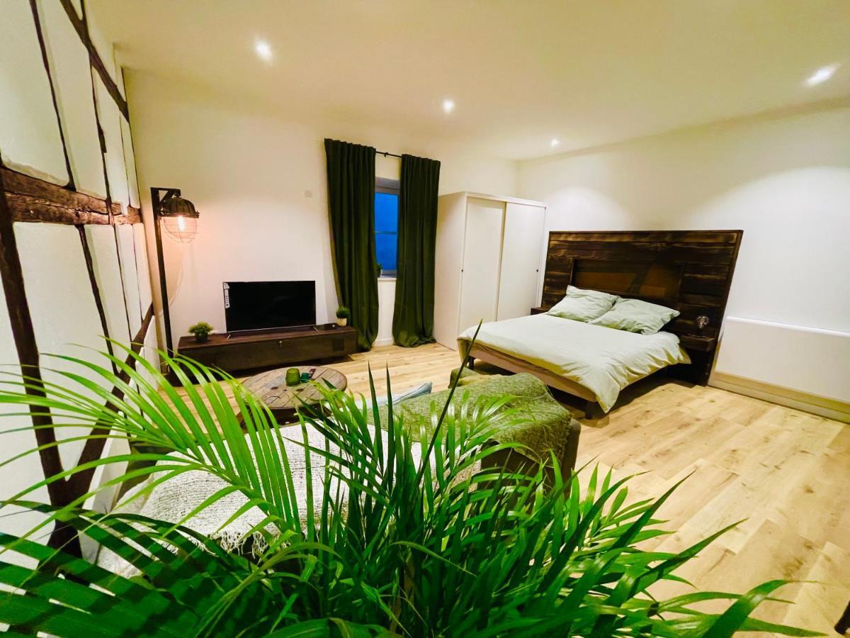 Le Ptit Chauffour - Hyper Centre De Colmar & Au Calme Apartman Kültér fotó
